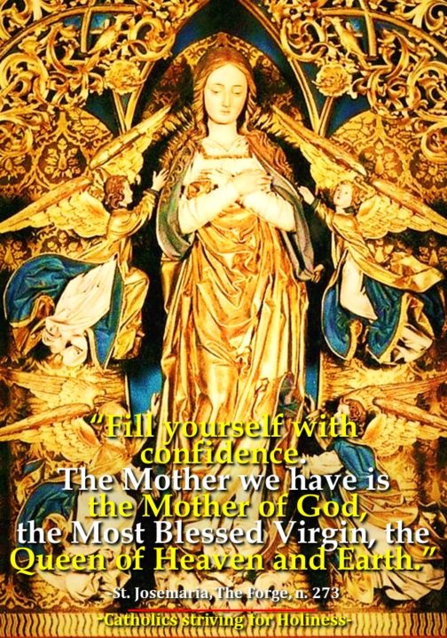 August 22: OUR LADY, MOTHER AND QUEEN. A sermon from St. Amadeus of Lausanne. 3